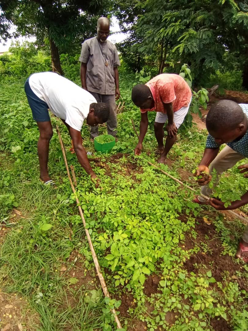 Apprentissage et autonomie