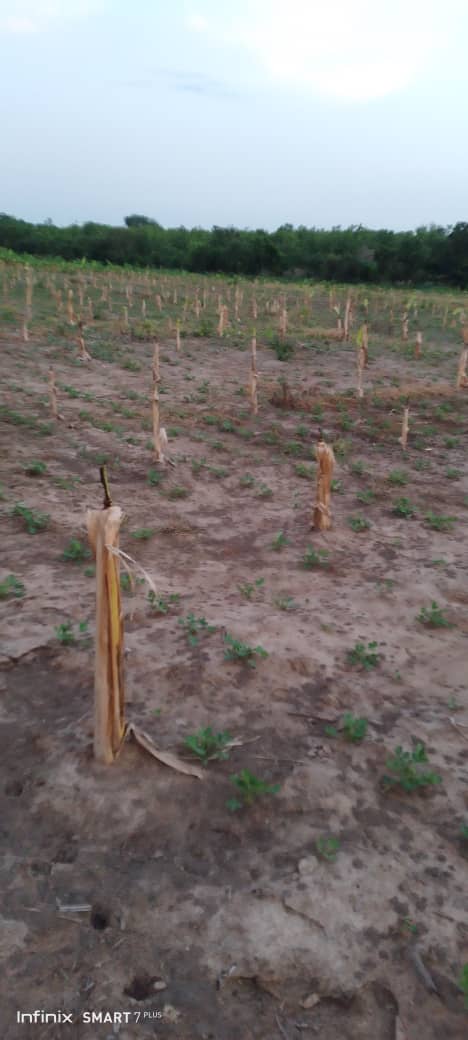 From fields to processing: immersion in farm activities
