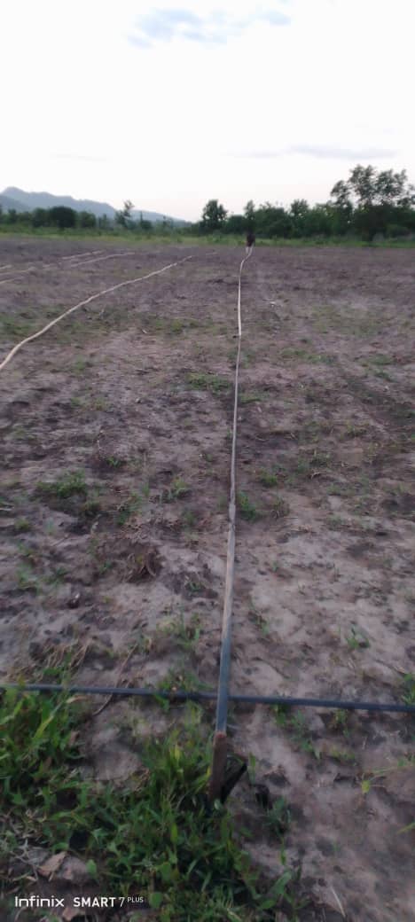 From fields to processing: immersion in farm activities
