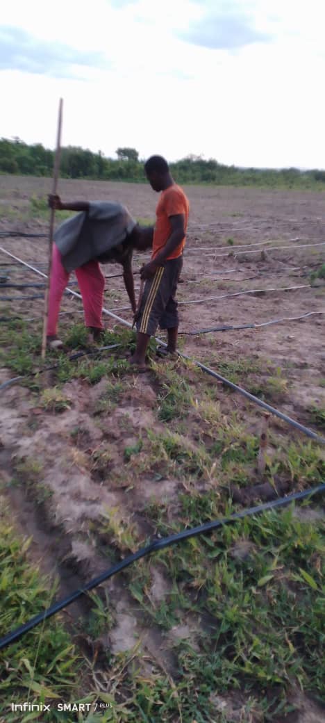 From fields to processing: immersion in farm activities