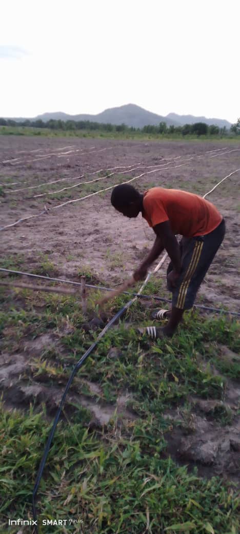From fields to processing: immersion in farm activities