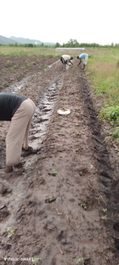 From fields to processing: immersion in farm activities