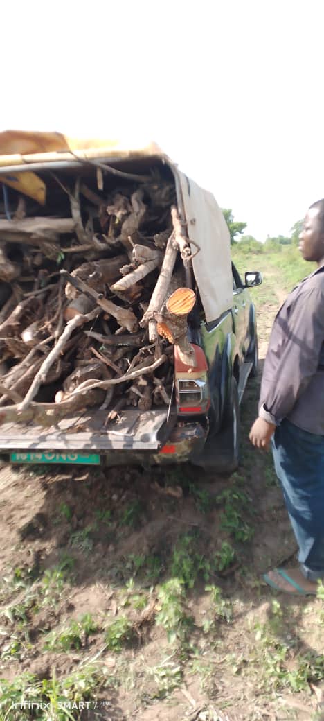 From fields to processing: immersion in farm activities