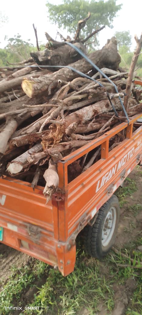 From fields to processing: immersion in farm activities